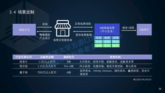 2017年中国保险科技投融资报告 科技中介服务的崛起与重塑