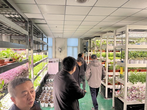 科技赋能绿色农业 省农科院专家与君乐宝乳业集团共谋牧草植物工厂与中介服务创新